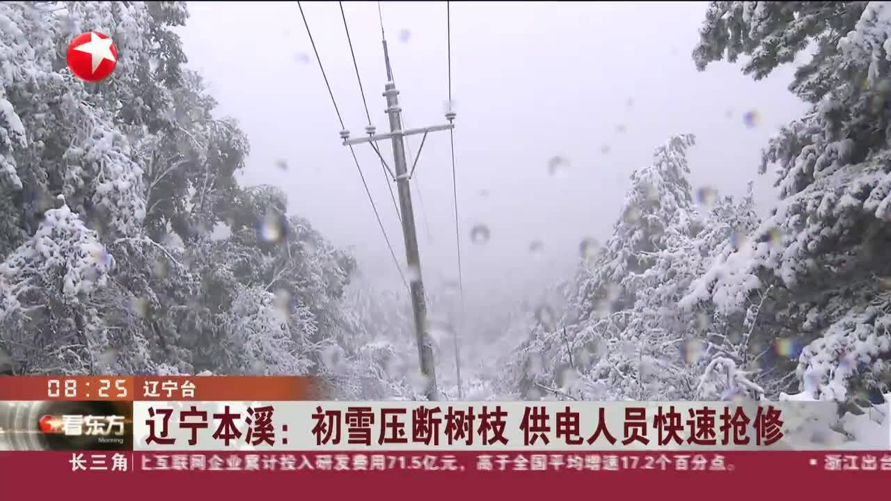 辽宁本溪:初雪压断树枝 供电人员快速抢修