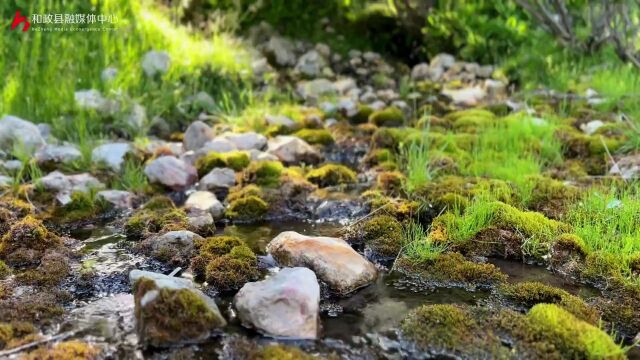 【喜迎二十大 奋进新和政】和政ⷧ𛿠“绿水青山就是金山银山”