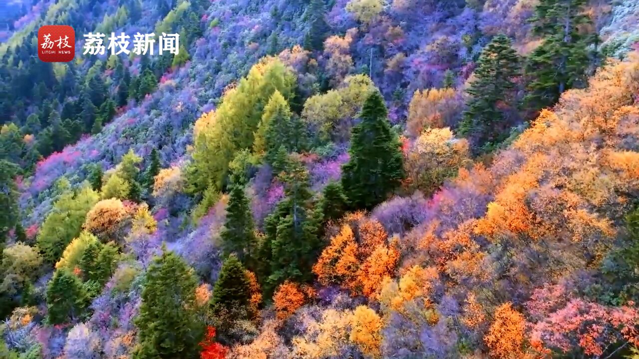 天上繁霜降!看深秋西藏多雄拉雪山换上多彩“盛妆”