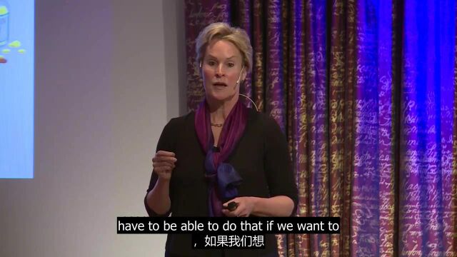 Frances Arnold:进化中的新酶字幕