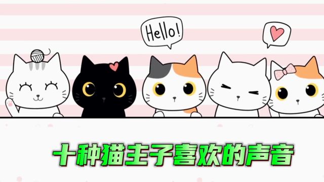 猫主子最喜欢的十种声音,最后一个充满了爱