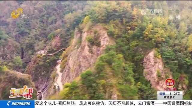 秋意渐浓,来五莲九仙山看落叶缤纷层林尽染,色彩斑斓美不胜收