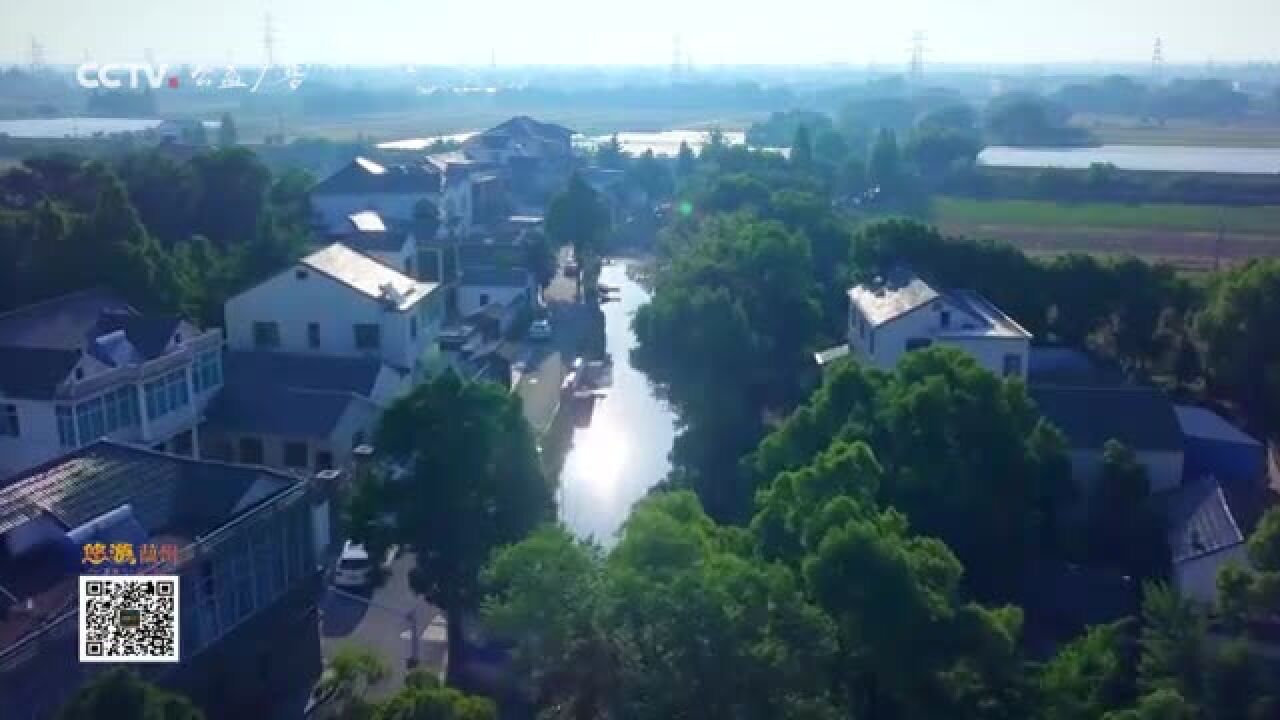 【文旅频道黄河恋】在湖州看见美丽中国—生态篇