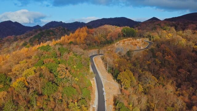 四川广元旺苍红叶彩林风光大片,新修的柏油公路犹如318国道!