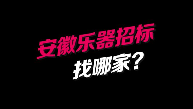 安徽省乐器招标采购找哪家最专业?海知音琴行——安徽最大的琴行