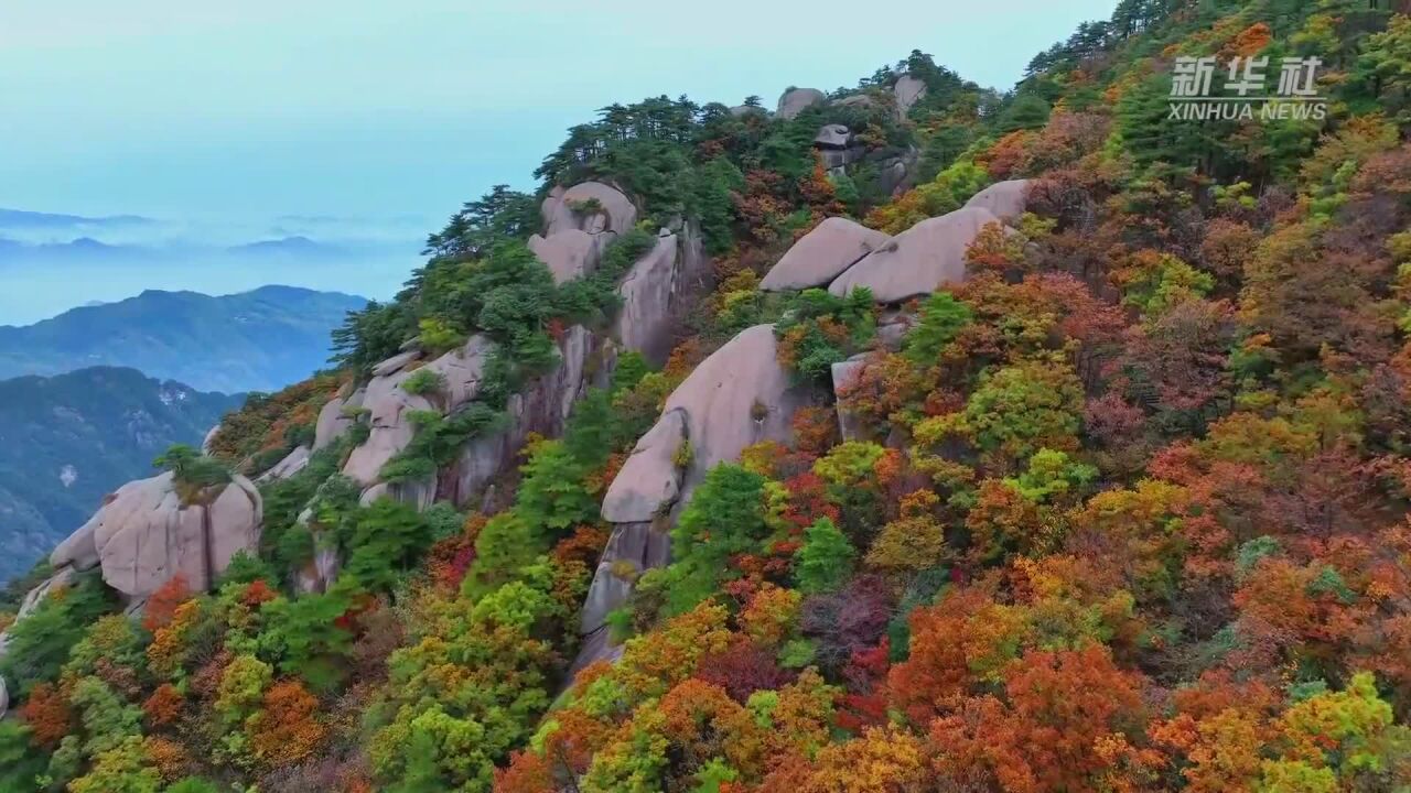 新华全媒+|安徽九华山:霜染丹林,感受自然之美