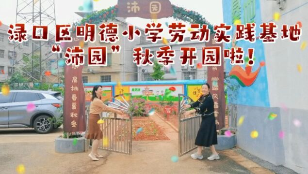 实践基地开园!