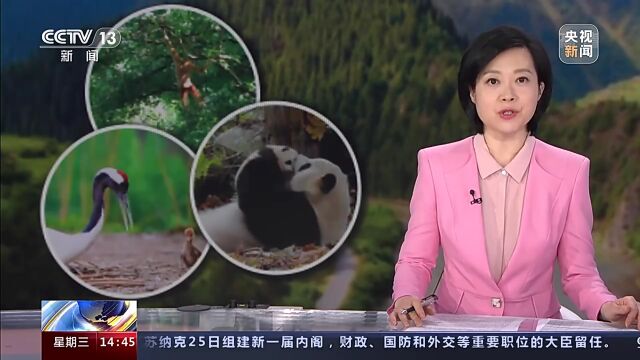 美丽中国建设再出发 森林扩面提质 构筑生态屏障