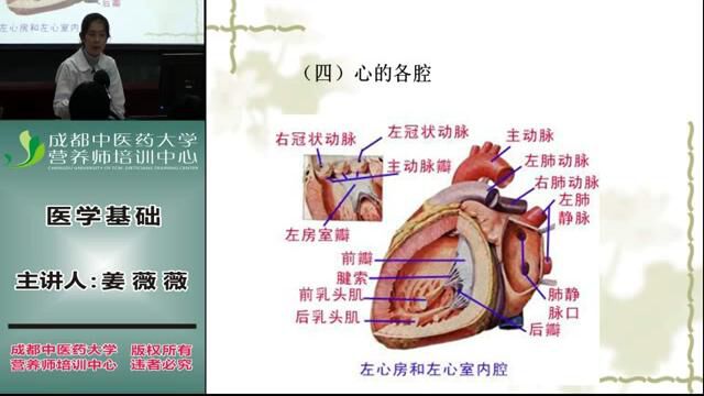 营养师全套教程 2. 医学基础8