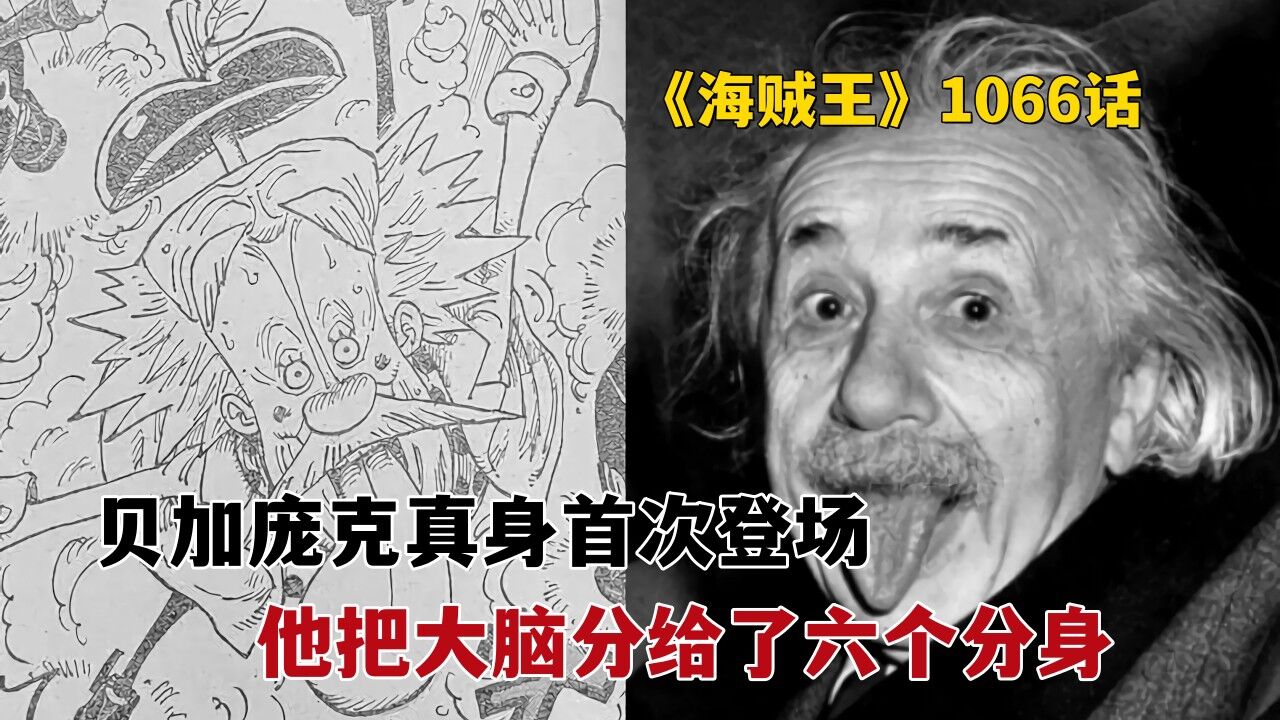 海贼王1066话:贝加庞克真身首次登场,他把大脑分给了六个分身