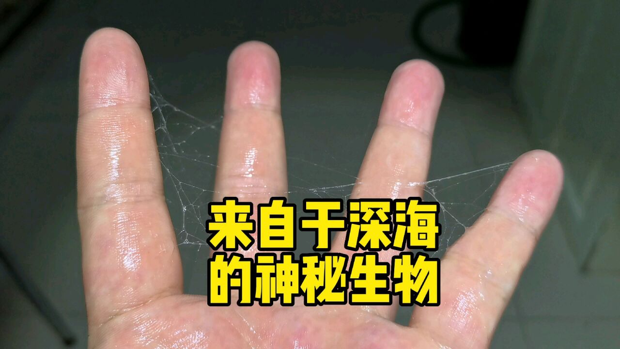 来自于深海的神秘生物