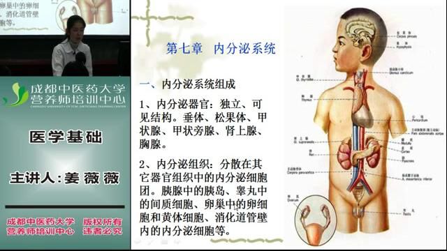 营养师全套教程 2. 医学基础9