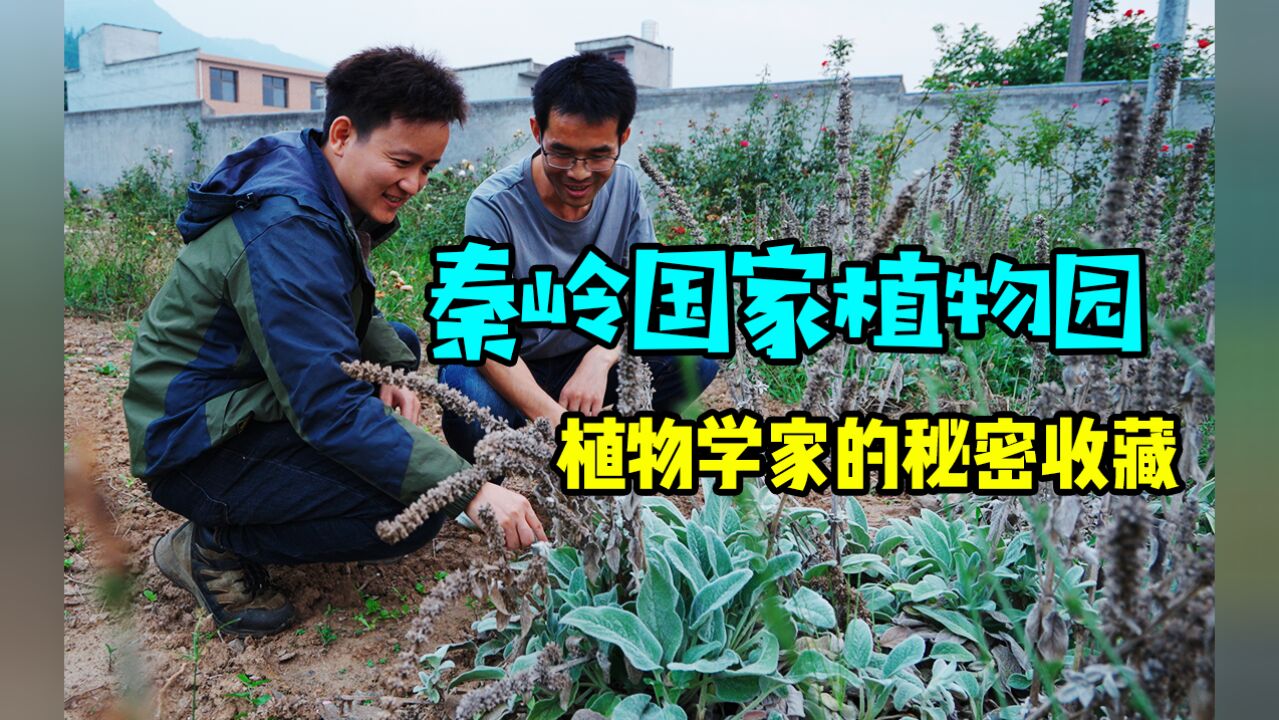 【水果猎人】拜访秦岭国家植物园,一睹植物学家的秘密收藏