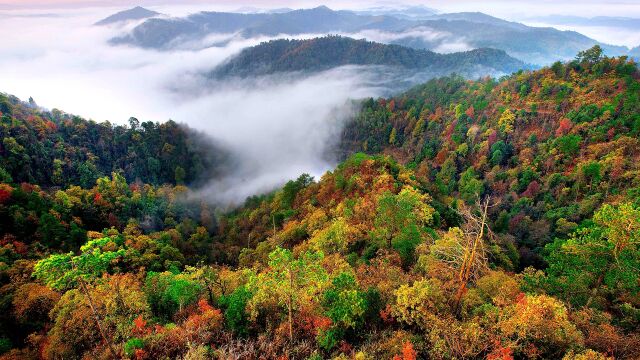 迎旅发ⷦ𘸮Š怀化③丨告别喧嚣 溆浦山水里寻找诗意原乡