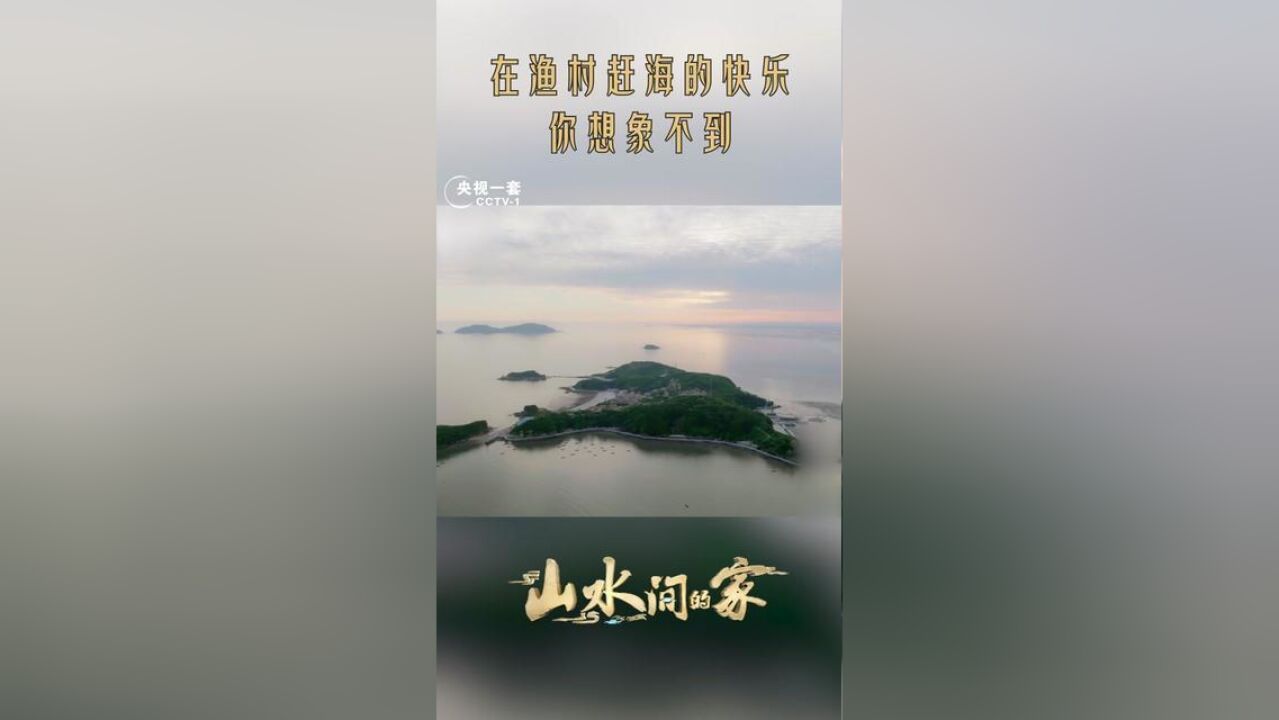 海螺、螃蟹、海蚬子……赶海的快乐你想象不到! 一起体验赶海收海货的快乐!