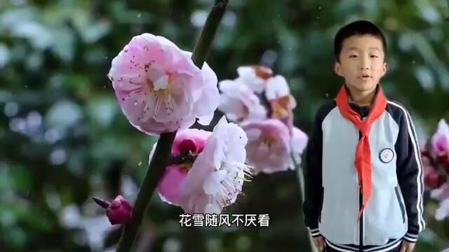 小雪节气中文