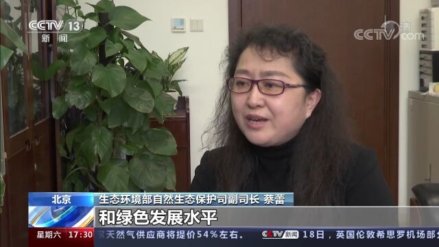 入选国家级示范区的新洲,如何抢抓机遇开创新局?