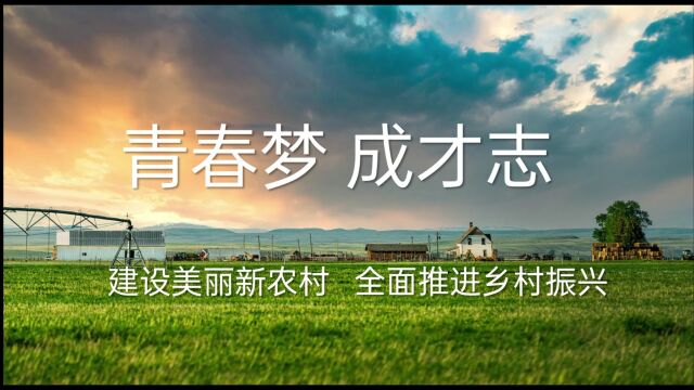 围绕城市建设“一路兴村”的基础上,全面推进生态一局美丽乡村建设,全面助力高质量发展.