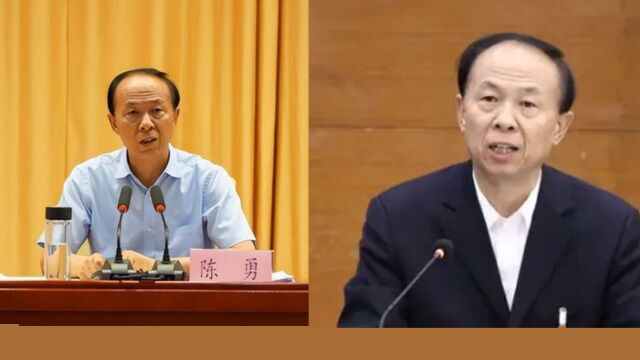 被实名举报的市委书记陈勇落马:训斥下属时常爆粗口,“一部分人对其恨之入骨”