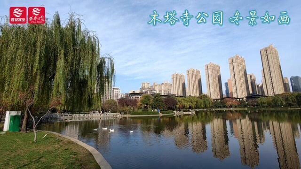 陕西省西安市,木塔寺公园冬景如画