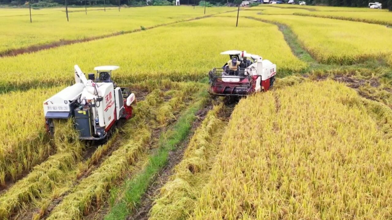 科技赋能生产,江门积极推动“智慧农场”、“无人农场”建设