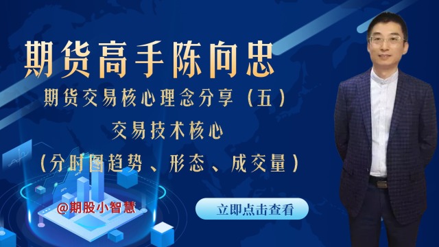 高手陈向忠期货交易核心理念分享(五)交易技术核心(分时图的趋势,形态