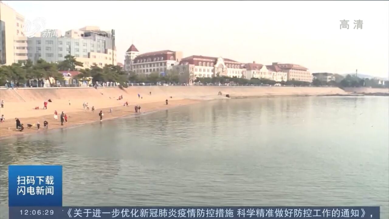 青岛:海鸥如约而至,游客亲密“鸥”遇