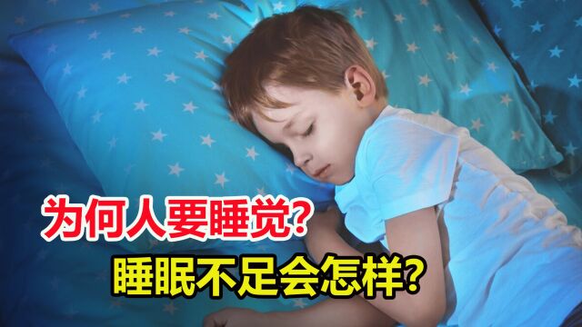 为什么人类必须睡觉?如果长期睡眠不足,会有什么后果?