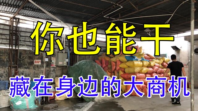 藏在身边的大商机,3分回收、粉碎后卖1350元吨,1天出58吨