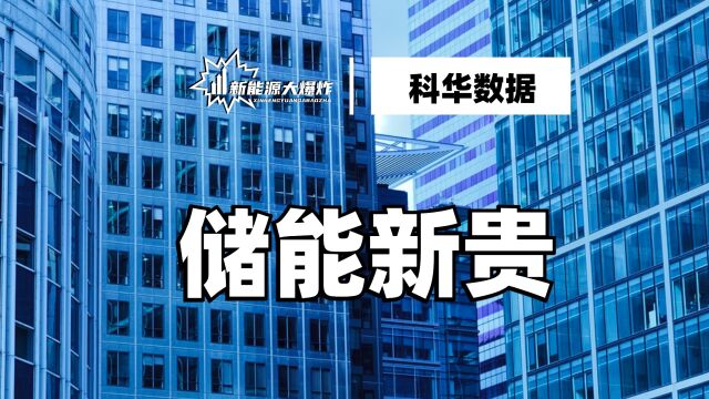 逆势创新高,有望下一个德业股份,科华数据,急速崛起的储能新锐