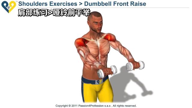 如何做哑铃前平举?