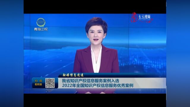 我省知识产权信息服务案例入选2022年全国知识产权信息服务优秀案例