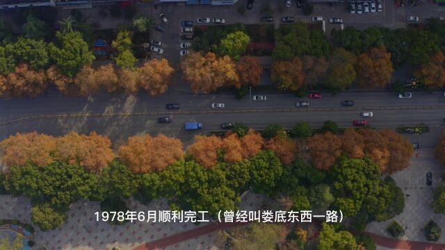  湖南娄底:这条40年前修建的道路,如今美成了一幅画!