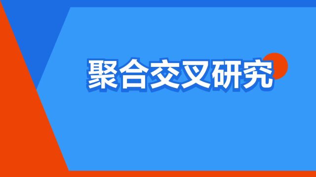 “聚合交叉研究”是什么意思?