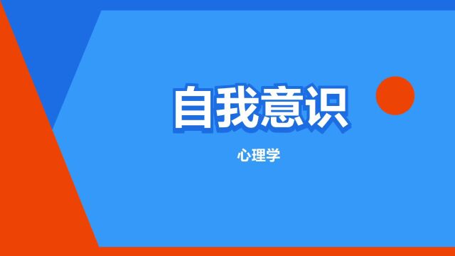 “自我意识”是什么意思?