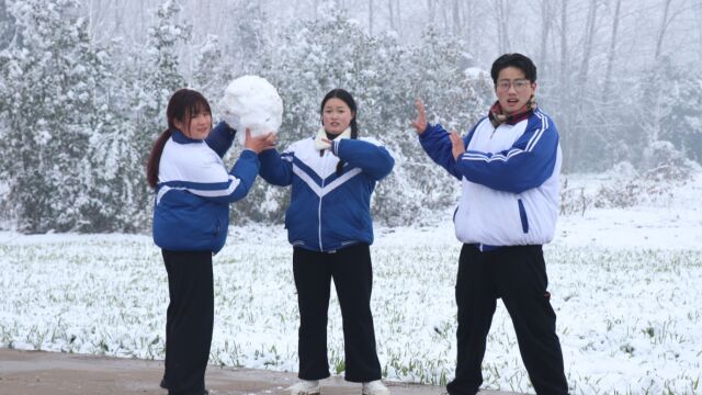 入冬以来的第一场雪终于来了,小伙伴们一起打雪仗,玩的真开心