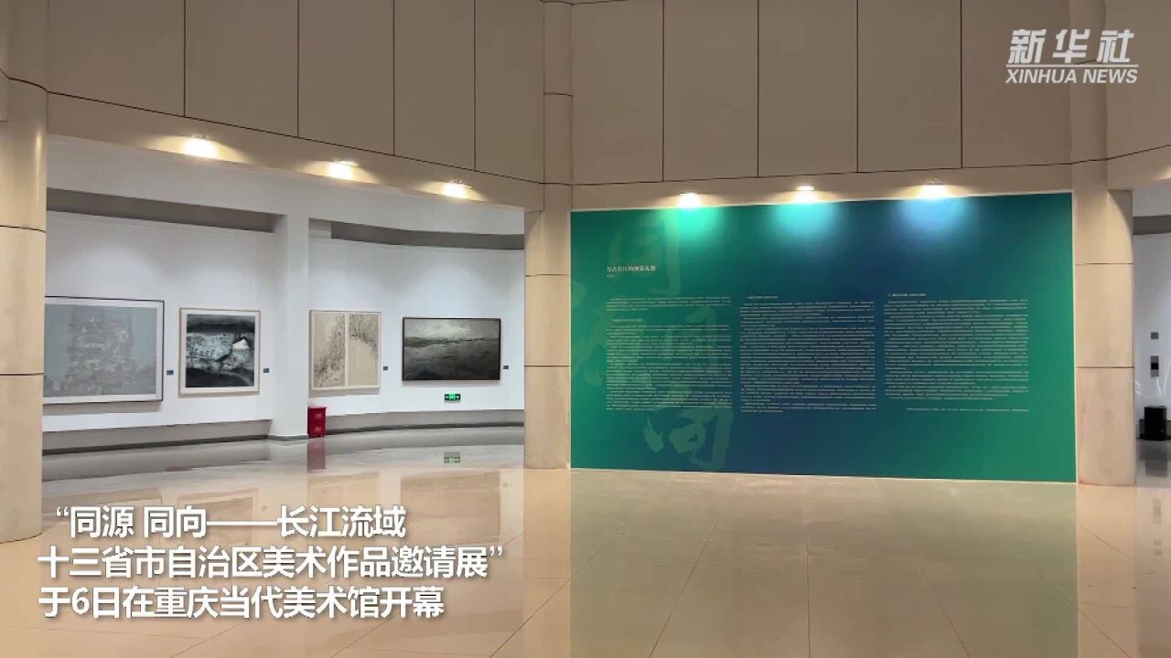 长江流域十三省市自治区美术作品邀请展在重庆开幕