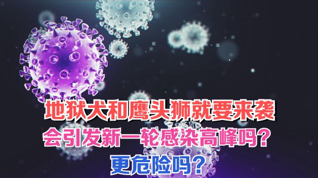 地狱犬和鹰头狮就要来袭,会引发新一轮感染高峰吗?更危险吗?