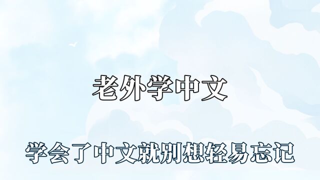 老外学中文的后劲有多大?英文水平好像在演我,各个都学到了精髓