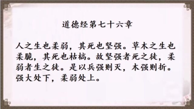 【七分@周志勇】婴儿视角解读道德经第76章,下一篇第75章