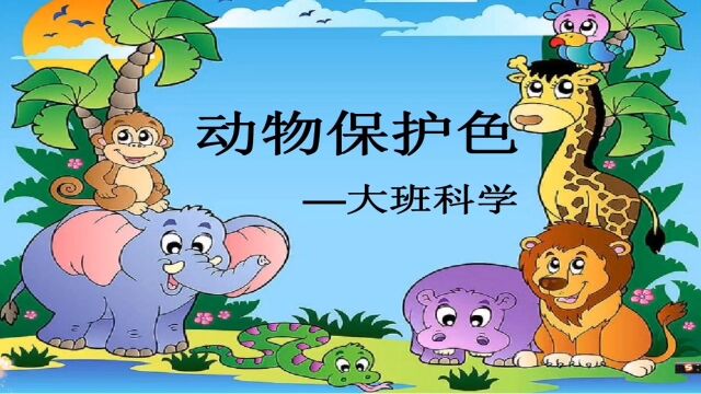 微课 幼儿园大班科学 动物的保护色