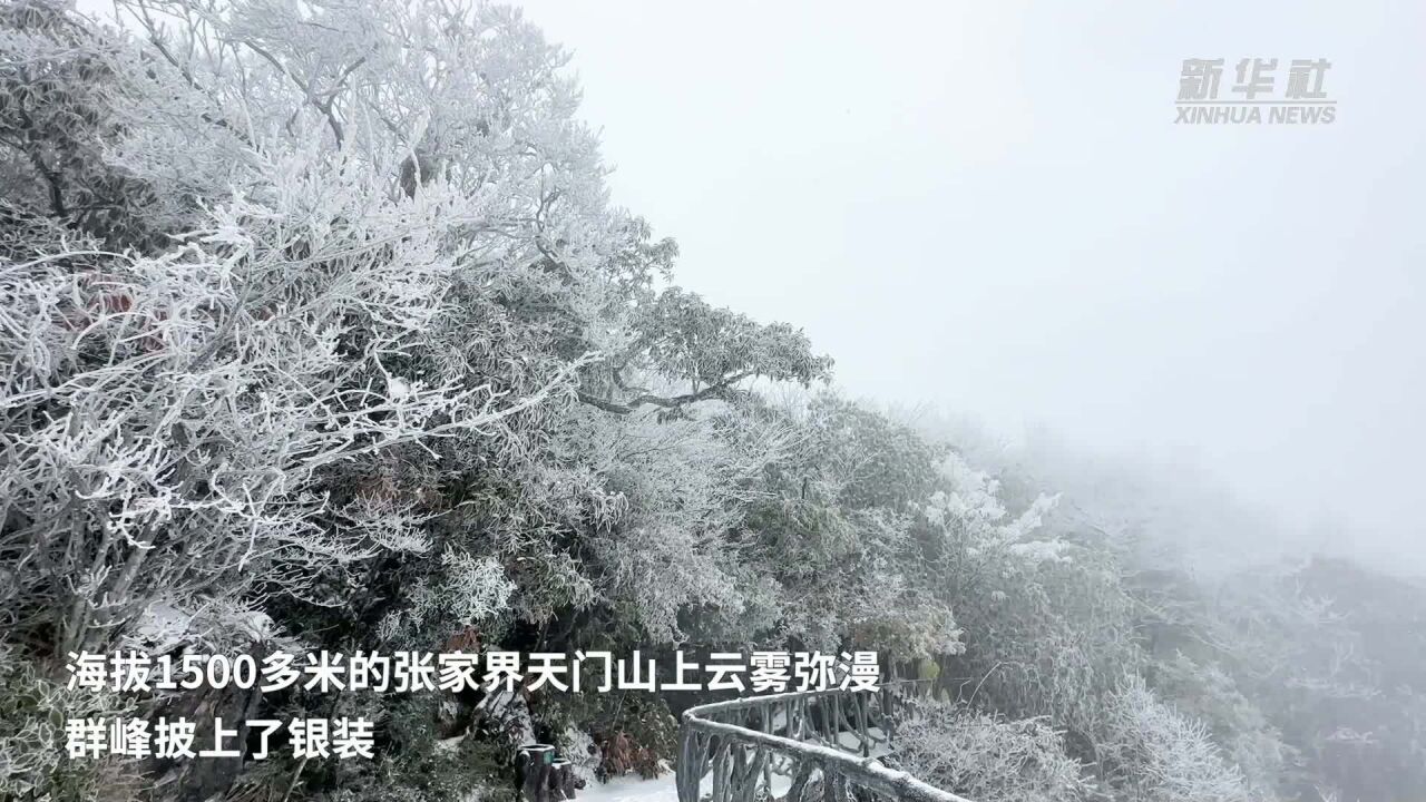 湖南张家界:寒潮来袭大雪纷飞 游人畅游冰雪美景