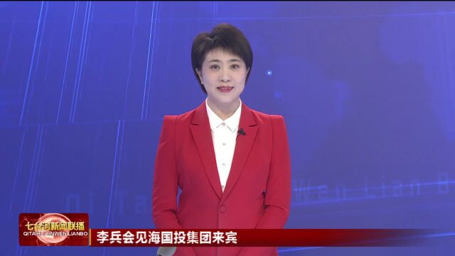 李兵会见海国投集团来宾