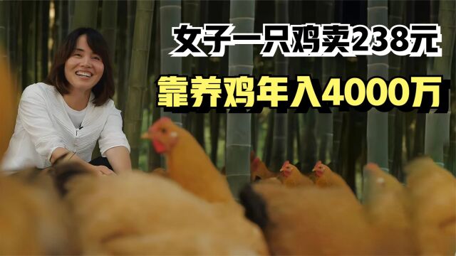 女子回家承袭父业养鸡,一只鸡卖238元,靠养鸡年入4000万!