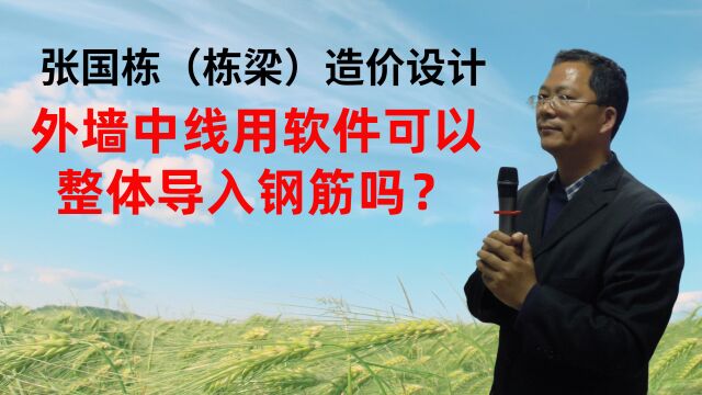 张国栋(栋梁)造价设计:外墙中线用软件可以整体导入钢筋吗?