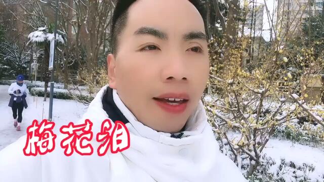 《梅花泪》今天小年下雪了,用雪当背景,唱首歌