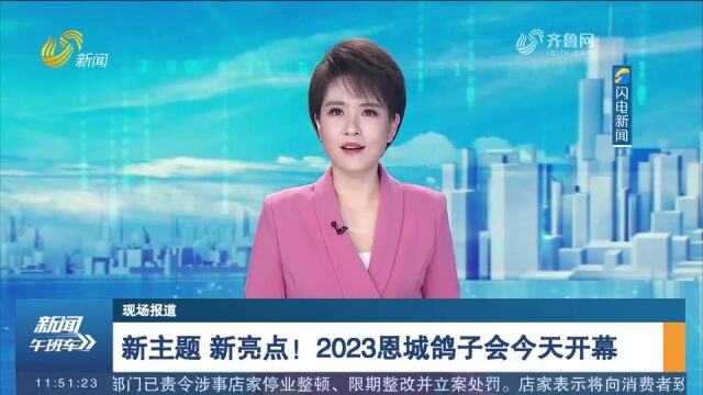 以鸽会友、飞鸽传金!快来打卡传承500多年的平原恩城鸽子会