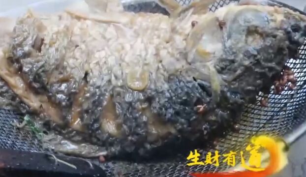 当地美食“黄河大鲤鱼”,口感软滑鲜嫩爽口,让人垂涎三尺