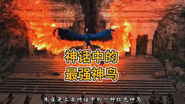 你知道神话中最强的四大神鸟都有谁吗? #山海经异兽录 #上古神兽