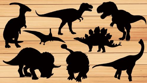 恐龙益智动画游戏，选择出正确的霸王龙形状，认识各种恐龙